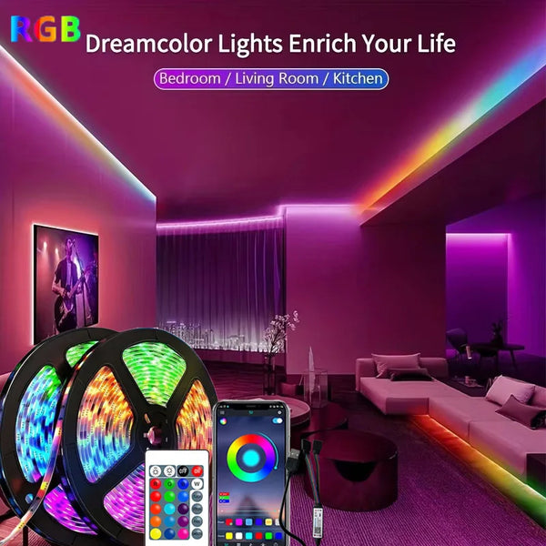 1-30M RGB LED Strip Light 5V USB Bluetooth 24Key Remote Control Flexible Ribbon Color Change LED Lamp Tape For Home Decoration